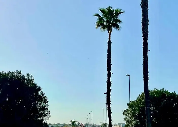 Apartment Miramar Waves *